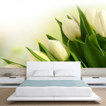 Fotomural para el dormitorio: una selección de ideas para el interior-3