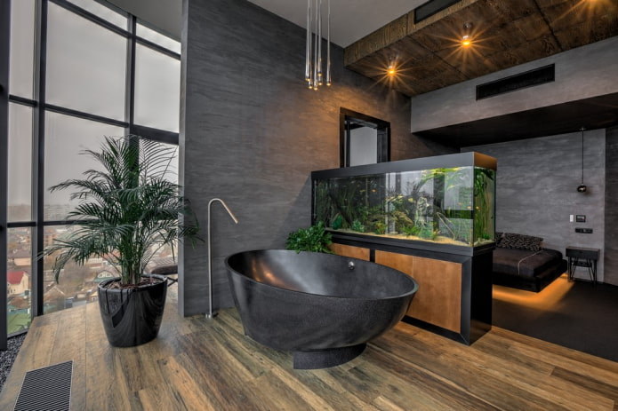 interior con una partición de acuario