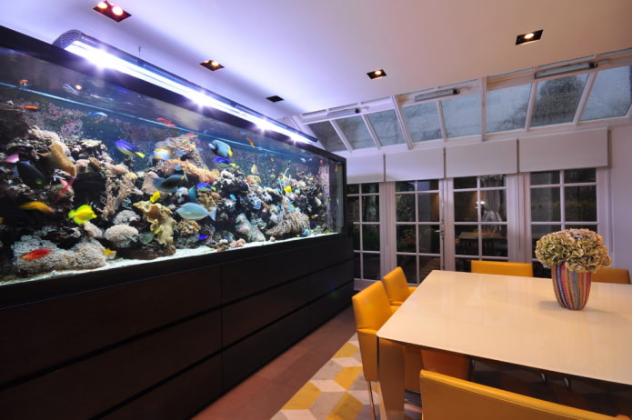 interior con acuario de suelo