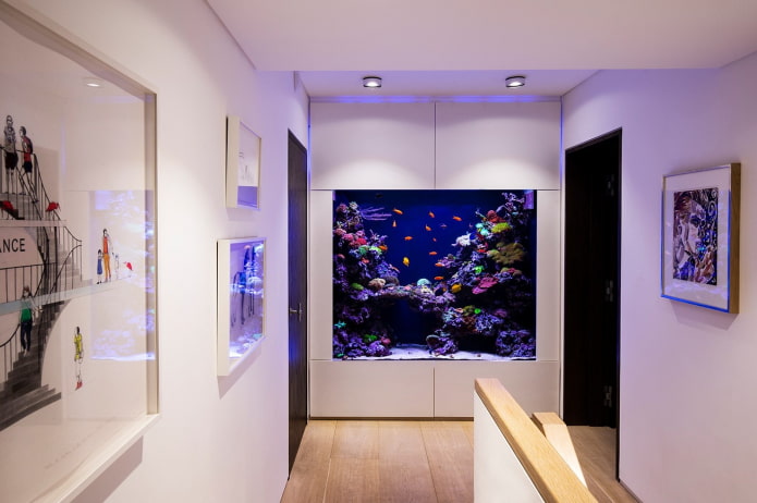 interior con un acuario empotrado en la pared
