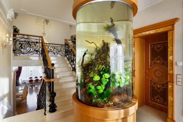 Acuario cerca de las escaleras en una casa particular