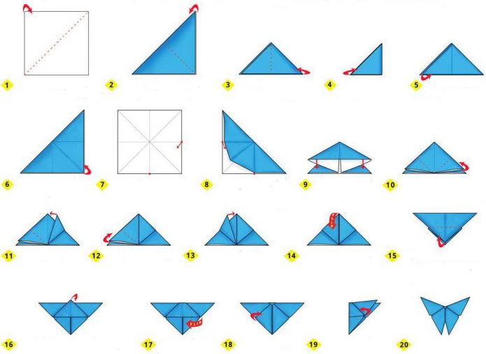 diagrama de creación de mariposas