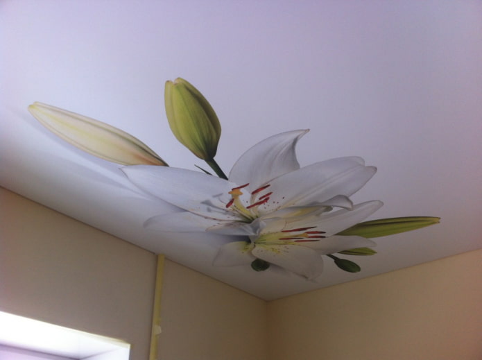 techo tensado blanco con flores