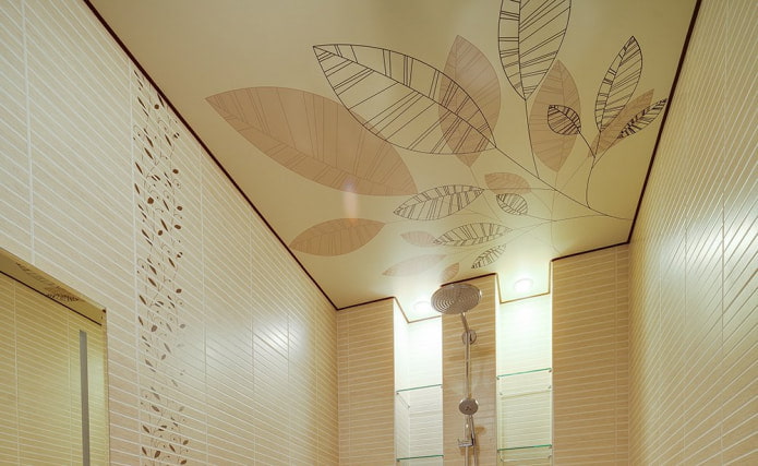 Impresión de fotos en el techo del baño