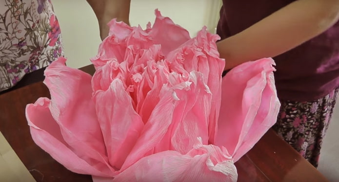 Formando una flor