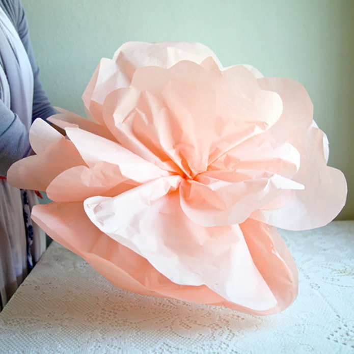 Recolectando la flor 2