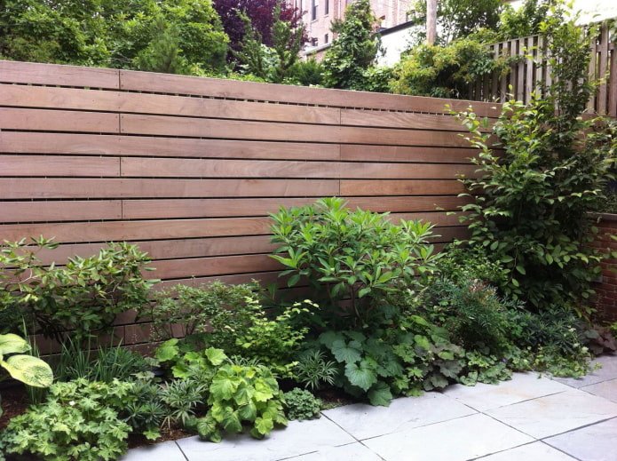 bushes near a wood wall
