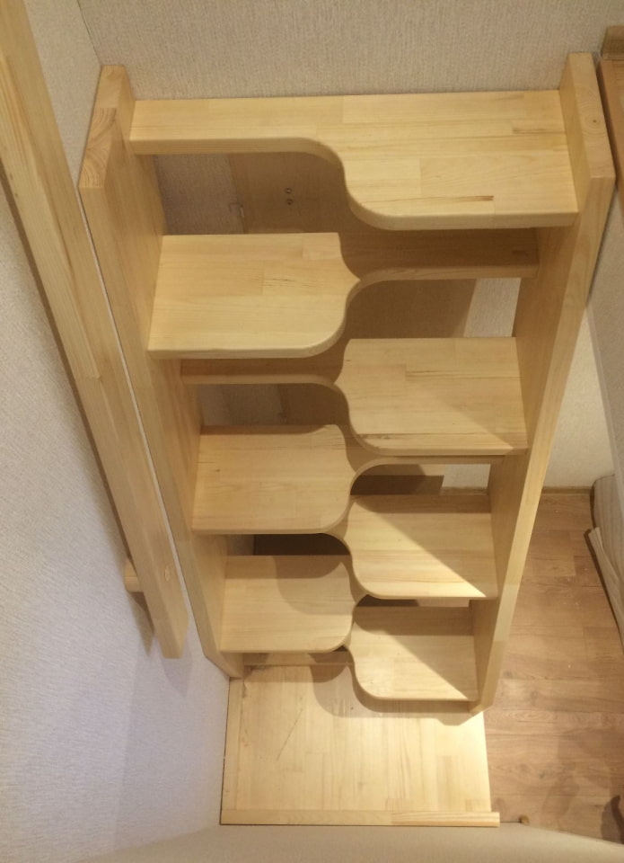 escalones de peldaños de ganso
