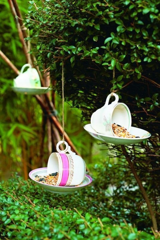 Comederos de taza