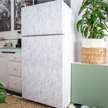 ¿Cómo decorar un refrigerador con tus propias manos?-4