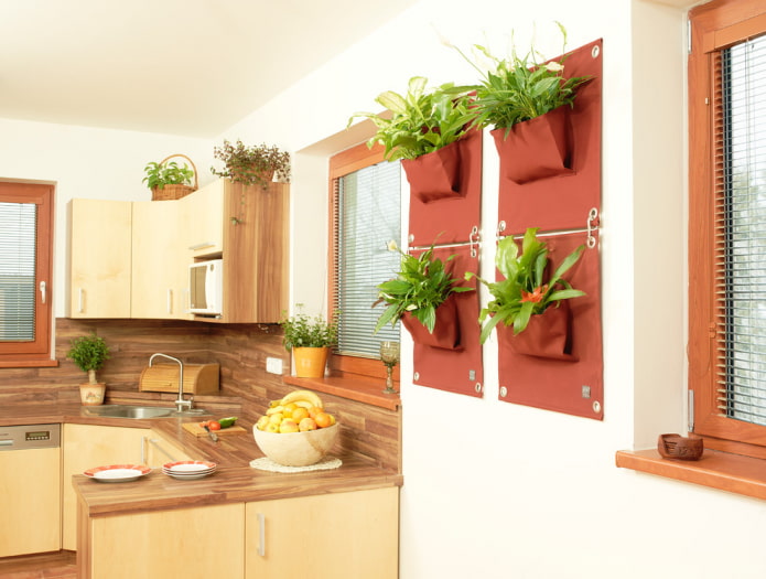 plantas en la pared en el interior de la cocina