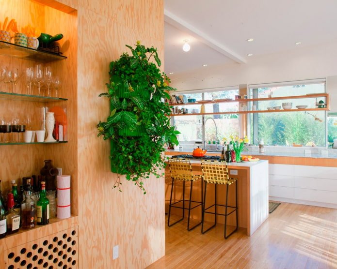 plantas en la pared en el interior de la cocina