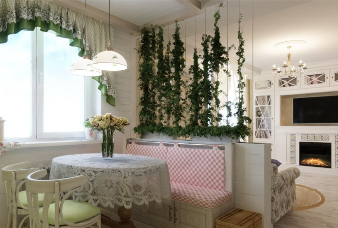 Plantas de interior para zonificación