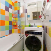 Cómo organizar el interior de un ¿Baño pequeño? - 3