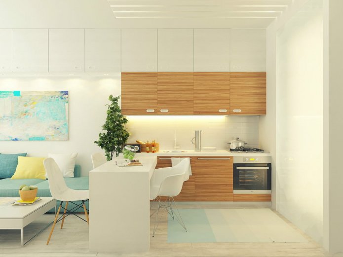 Proyecto de diseño de un estudio de 29 m2.