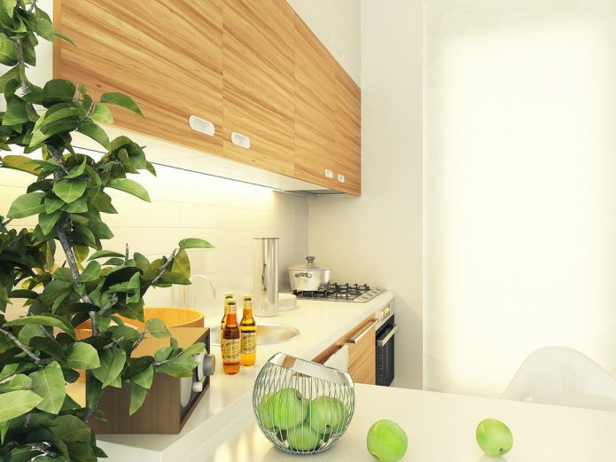 Cocina en el proyecto de diseño de un estudio de 29 m².