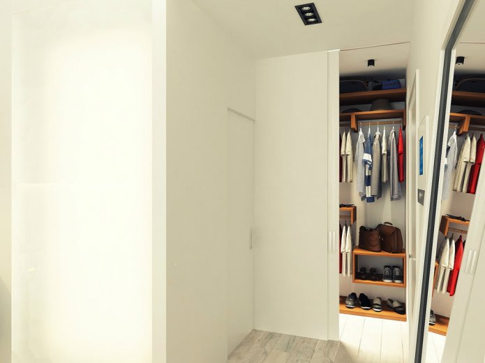 pasillo en el proyecto de diseño de un estudio de 29 m2.