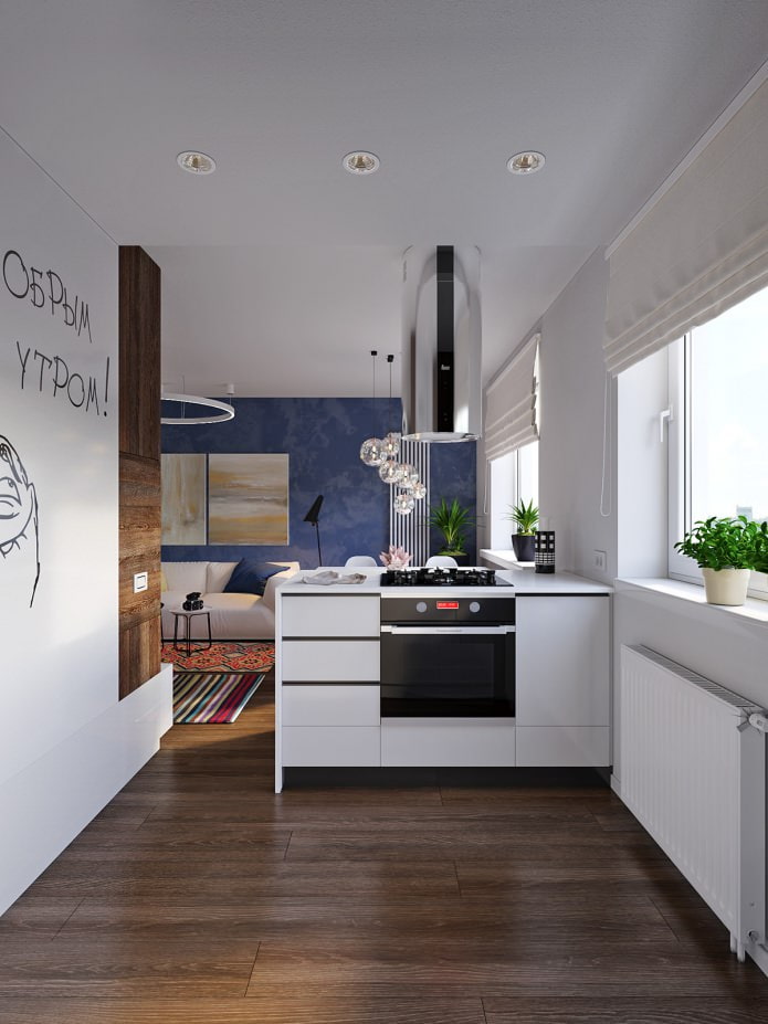 Cocina en el diseño de un apartamento de 31 m².