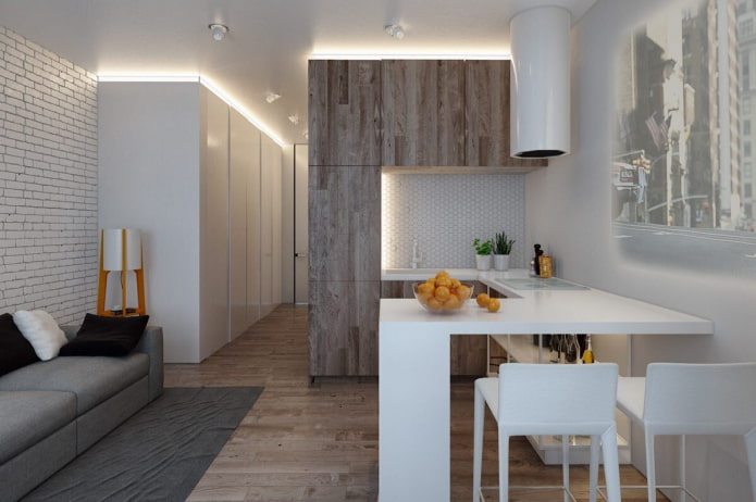 Diseño de cocina y sala de estar