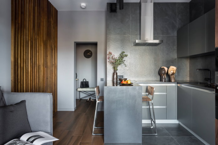 Diseño de cocina en un apartamento de dos habitaciones de estilo europeo