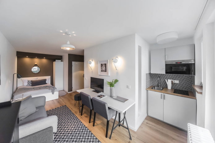 Cocina, salón y dormitorio en una sola habitación