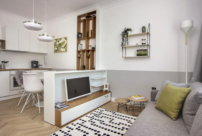 zonificación en el interior de un apartamento tipo estudio