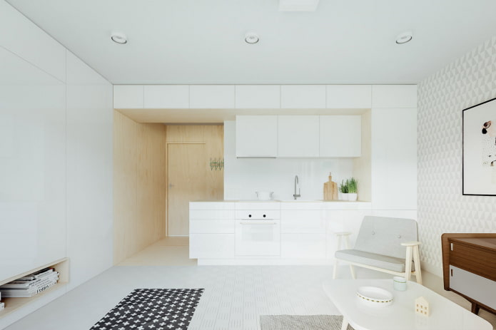 diseño de la zona de cocina en un estudio