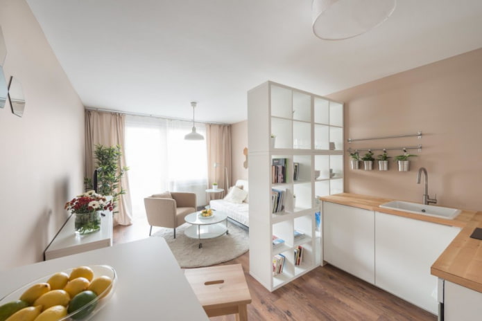 zonificación en el interior de un apartamento tipo estudio