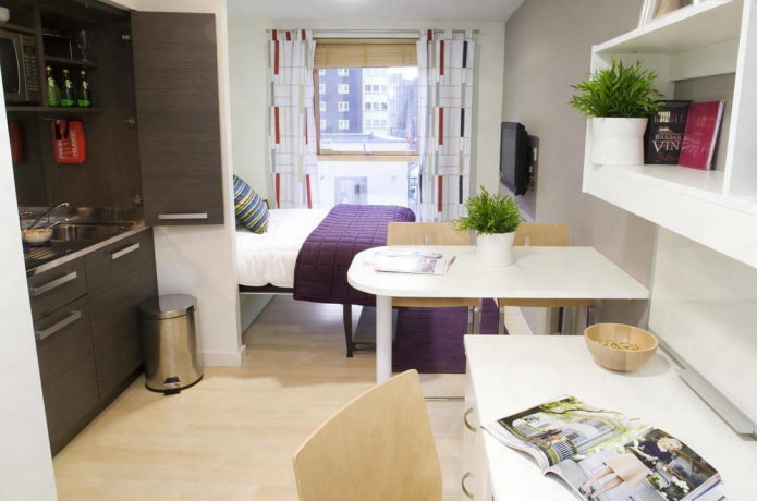 Distribución de un apartamento tipo estudio de 20 m².