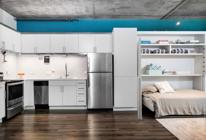 Estudio tipo loft alargado y cama transformable