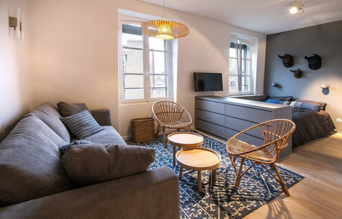 Zonificación en el interior de un apartamento tipo estudio