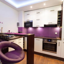 Diseño de cocina pequeña con barra-1