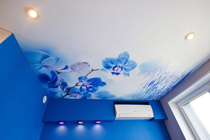 techo con impresión de fotos en forma de orquídea