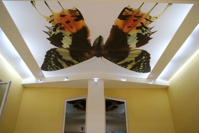 Techo con mariposa