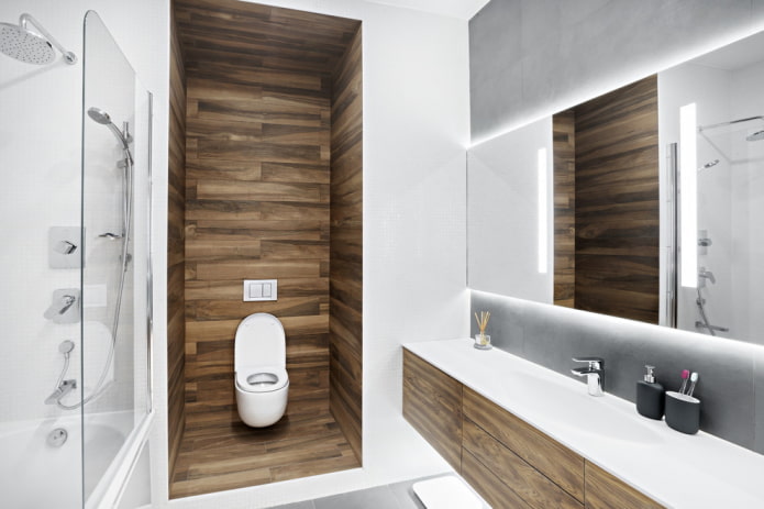 planning and zoning of a combined Baño