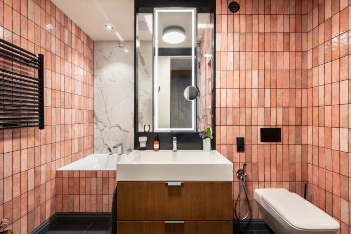 color scheme of a combined bathroom