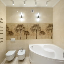 Interior de un baño combinado con inodoro-8