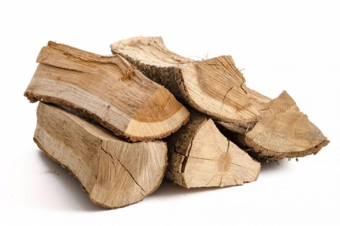 Troncos de roble