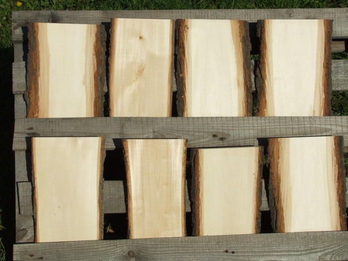 Estructura de la madera de tilo