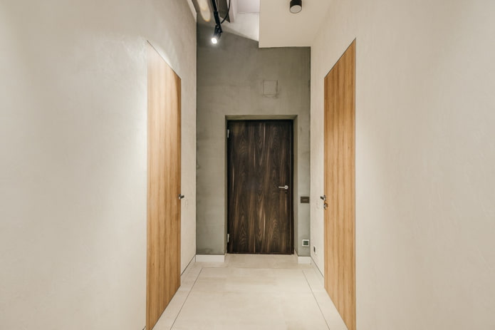 Puertas en el pasillo de estilo minimalista