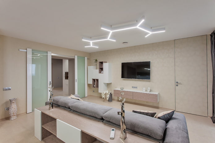 Puertas para el salón en estilo moderno