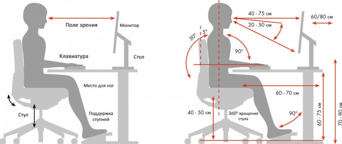 reglas de ergonomía en el trabajo