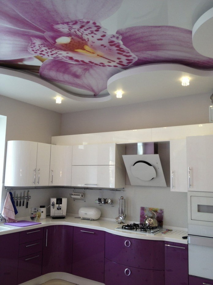 Techo violeta en la cocina
