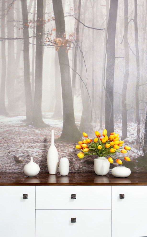 Fondo de pantalla con imagen de bosque