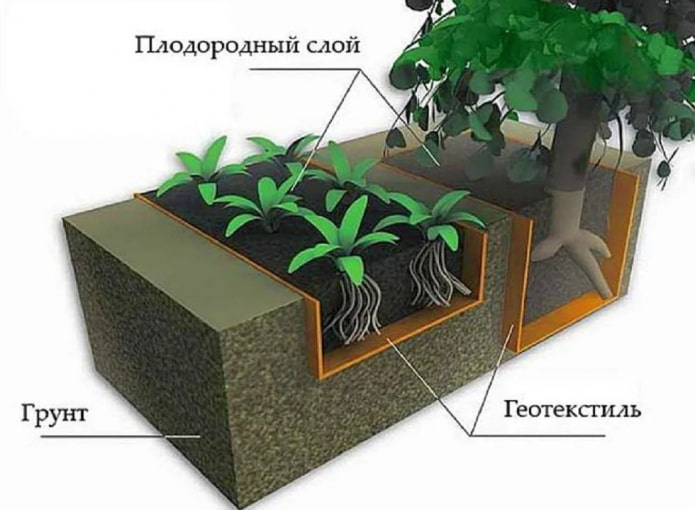 geotextil para raíces