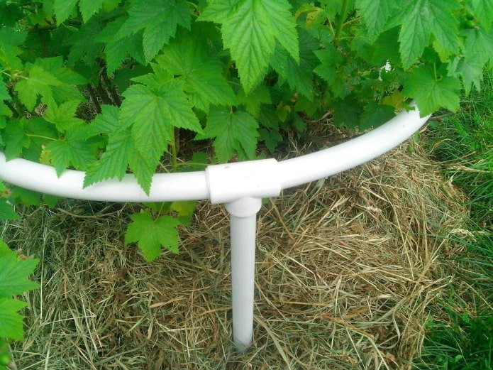 soportes para arbustos