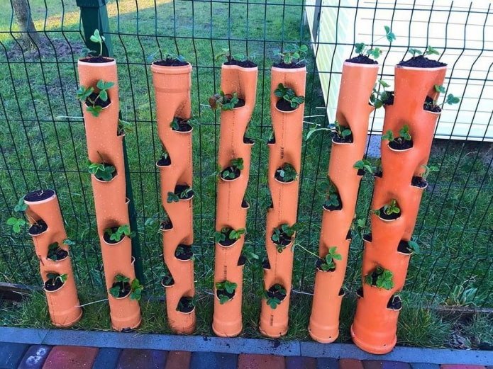camas verticales
