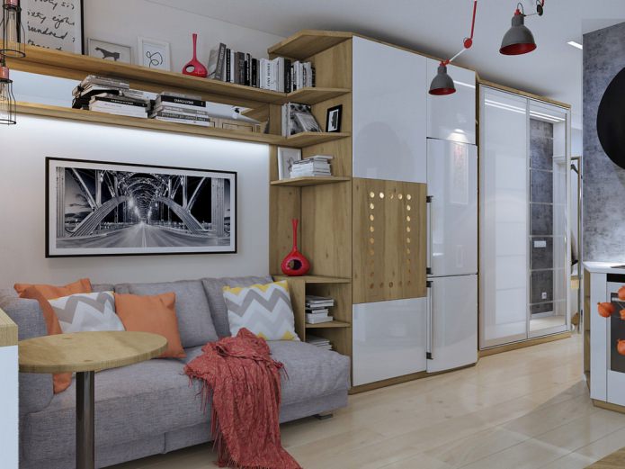 compact studio 18 sq. m.