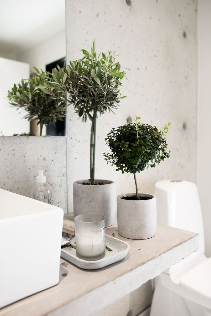 ficus de plástico en el baño