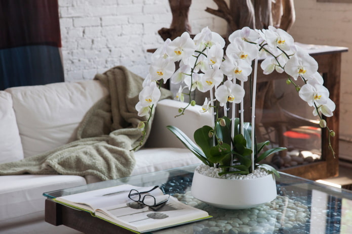 orquídea de plástico sobre la mesa